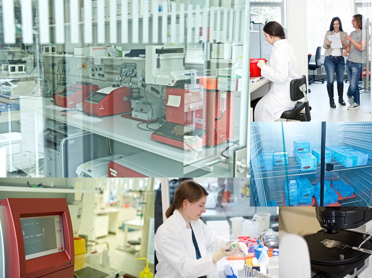 Different views of laboratory work