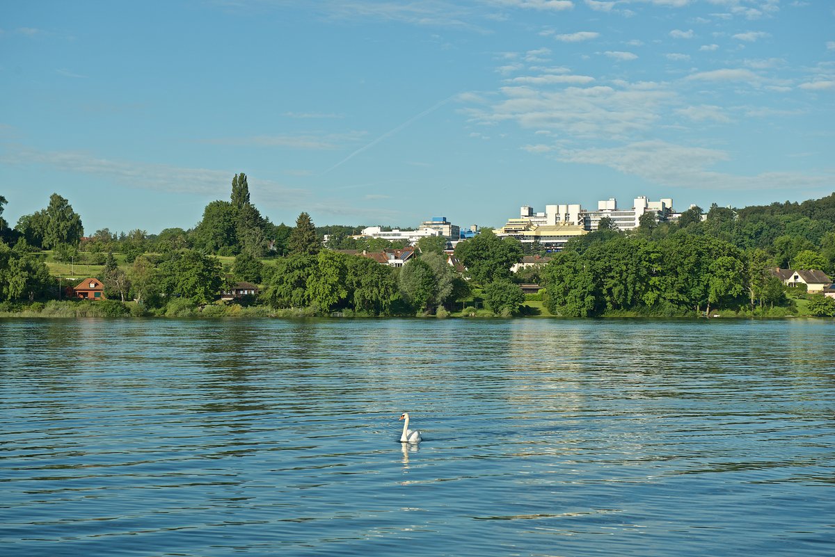 View of the University from the Lake of Constance